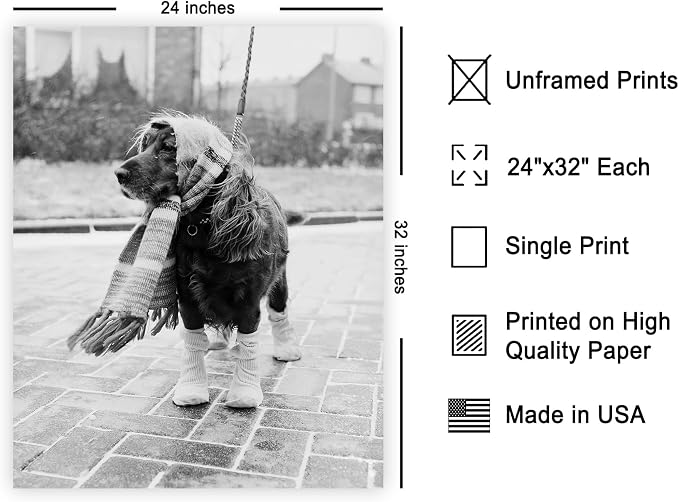 Poster Master Vintage Dog Dressed - Image 2