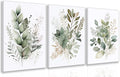 LLEEMPI Framed Sage Green Wall Art Set of 3, Modern Watercolor Botanical Wall by Unknown