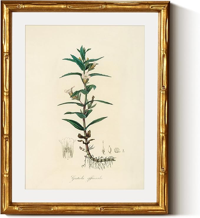 InSimSea Gold Bamboo Framed Canvas Wall Art, Vintage Kitchen Herbs Paintings by InSimSeaArt