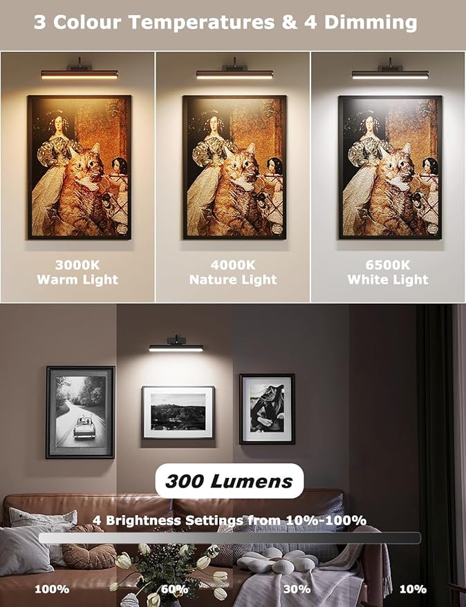 Skairipa Wireless Picture Light - Image 2