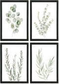 YWJKWLGS Botanical Watercolor Prints Sign Sage Green Eucalyptus Wall Decor by Unknown