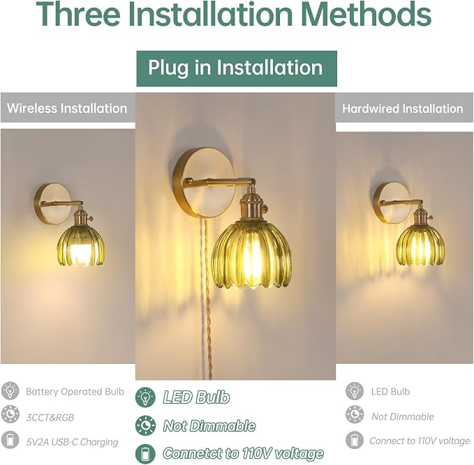 Shenmoyl Plug in Wall Sconce - Image 2