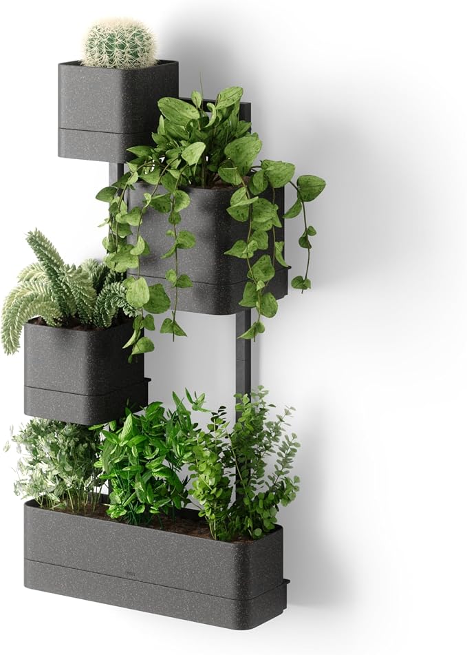 Umbra Cubiko Wall Planter with 4 Lightweight and Durable Pots by Umbra