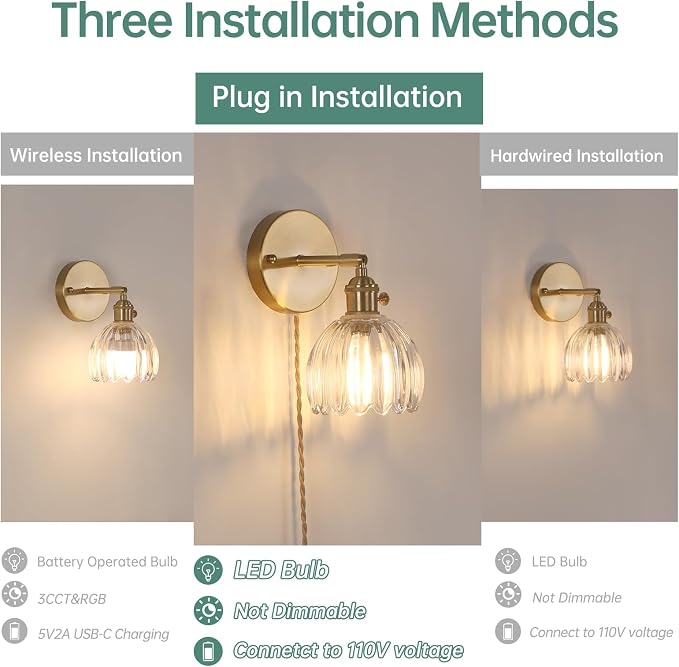 Shenmoyl Plug in Wall Sconce, Transparent Tulip Glass Lampshade Wall Light - Image 2