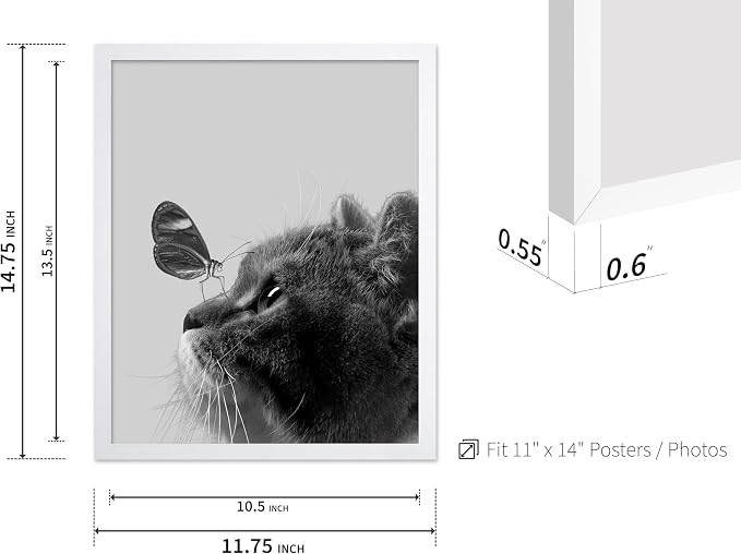 Poster Master Butterfly on Cat Print - Image 3