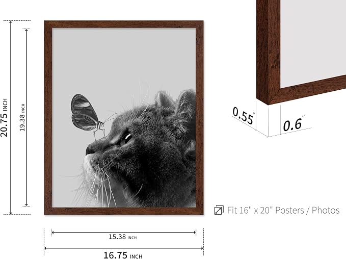 Poster Master Butterfly on Cat Print - Image 3