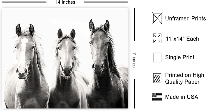 Poster Master Horse Poster - Image 2
