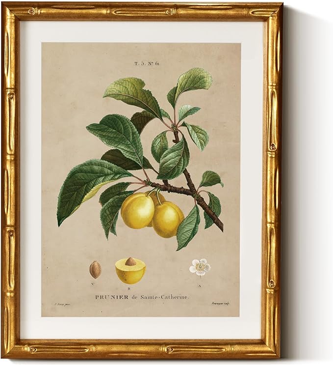 InSimSea Gold Bamboo Framed Canvas Wall Art, Retro Nature Plum Botanical by InSimSeaArt