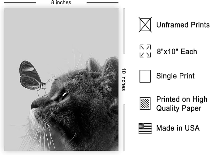 Poster Master Butterfly on Cat Print - Image 2