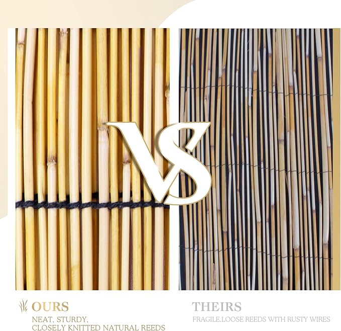 Reed Curtain, Bamboo Light Filtering Roller Shades - Image 3