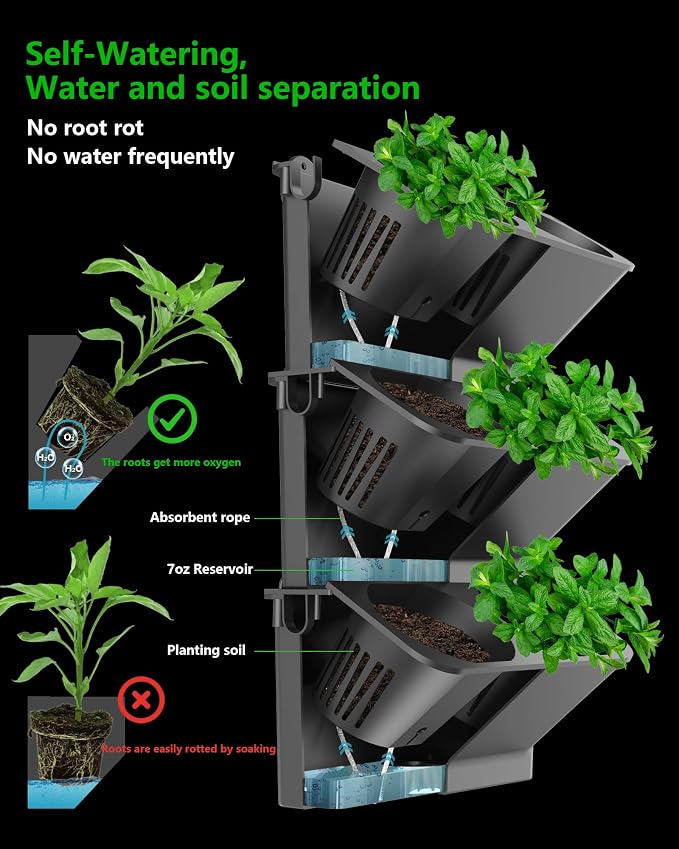 Wall Planters for Indoor Plants - Image 4