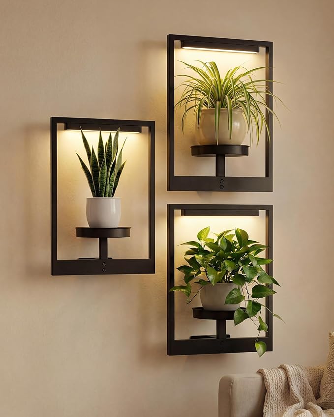 Bamworld Hanging Planters for Indoor Plants Wall Decor Outdoor Living Room by Bamworld