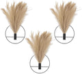3 Pcs Wall Plants Artificial Decor, Boho Wall Decor, Home Office Living Room by Unknown