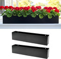 LaLaGreen Wall Planters Carbon Steel Black Metal Hanging Flower Pot by L%C3%A1L%C3%A1Green