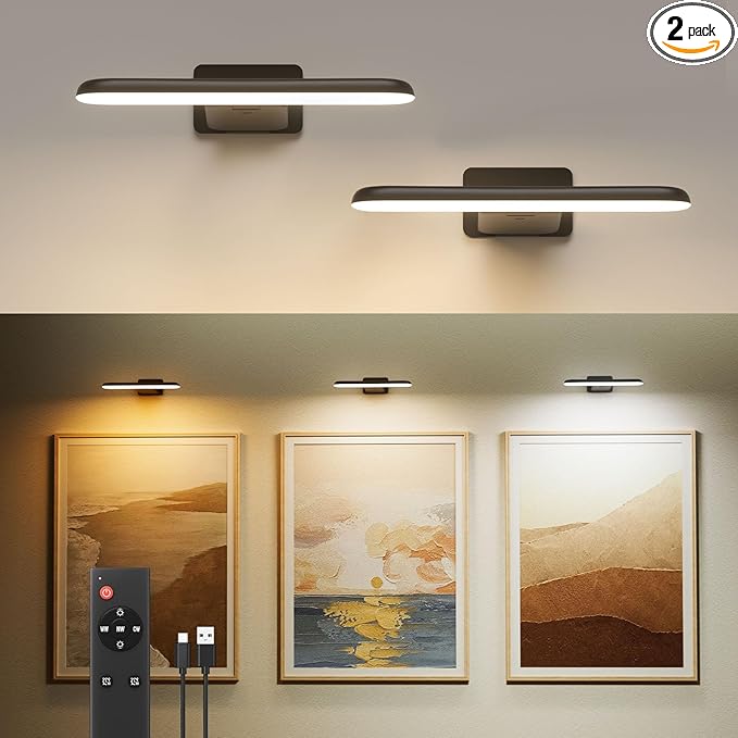 FULEN 2 Pack Picture Lights for Wall, Art Lights for Painting, Battery Operated by Cost-effectiveChoice