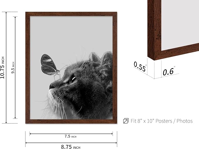 Poster Master Butterfly on Cat Print - Image 3