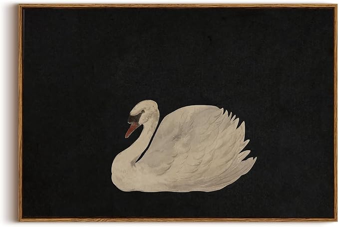 OIQArtOIQ Vintage Framed Wall Art Moody Grace Swan Canvas Art Prints Rustic by OIQArtOIQ