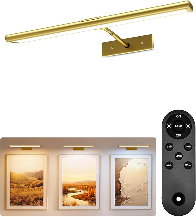 EZVALO Picture Light for Wall, 4800mAh Rechargeable Wireless Remote, 16in by EZVALO