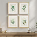 Framed Sage Green Botanical Wall by Cuspin