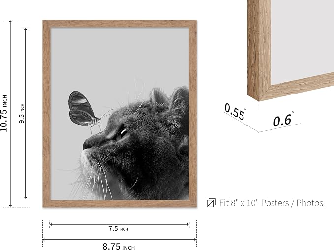 Poster Master Butterfly on Cat Print - Image 3