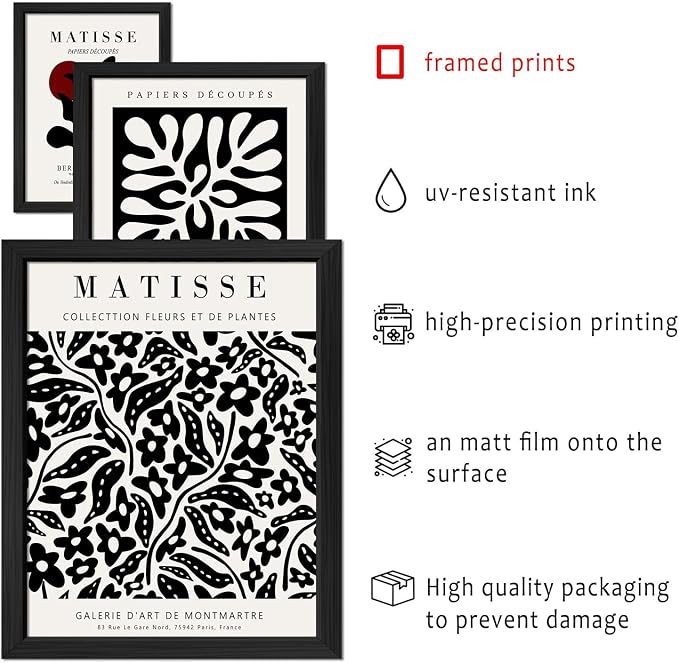 ANERZA 16 PCS Framed Black and White Wall Art Decor, Matisse Abstract Wall - Image 3