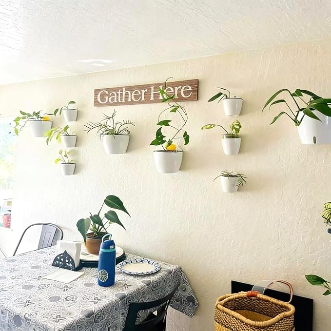 3 Pack Self Watering Wall Hanging Planter Pots Vertical Garden Window Hang - Image 5