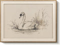 VIYYIEA Framed Wall Art for Living Room, Elegant Swan Pencil Sketch Canvas by VIYYIEAART