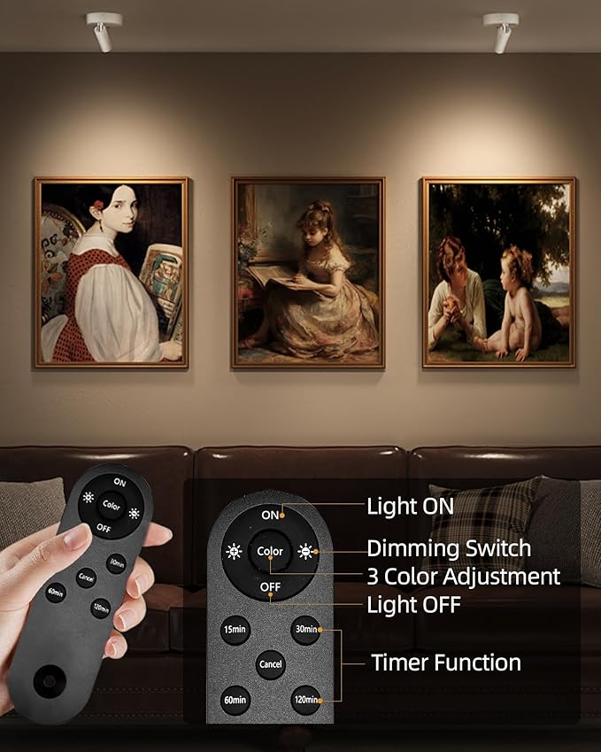 EZVALO Spot Lights Indoor, 5500mAh Rechargeable Picture Lights - Image 4