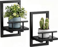 Sbosbo Floating Shelves for Wall, Plant Shelf Indoor, Wall Planters for Indoor by SBOSBO