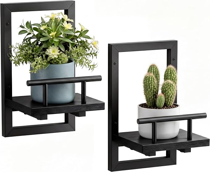 Sbosbo Floating Shelves for Wall, Plant Shelf Indoor, Wall Planters for Indoor by SBOSBO