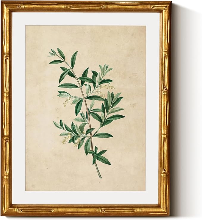 InSimSea Gold Bamboo Framed Canvas Wall Art, Vintage Olive Flower Botanical by InSimSeaArt