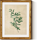 InSimSea Gold Bamboo Framed Canvas Wall Art, Vintage Olive Flower Botanical by InSimSeaArt