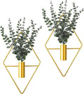 Jexine 4 Pcs Hanging Planters by Jexine