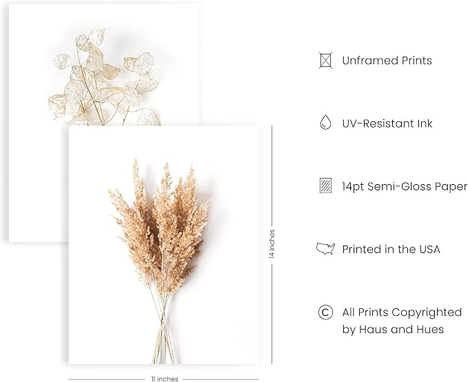 HAUS AND HUES Brown Plant Set of 4-11x14 - Image 2