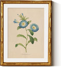 InSimSea Gold Bamboo Framed Canvas Wall Art, Retro Blue Field Bindweed by InSimSeaArt