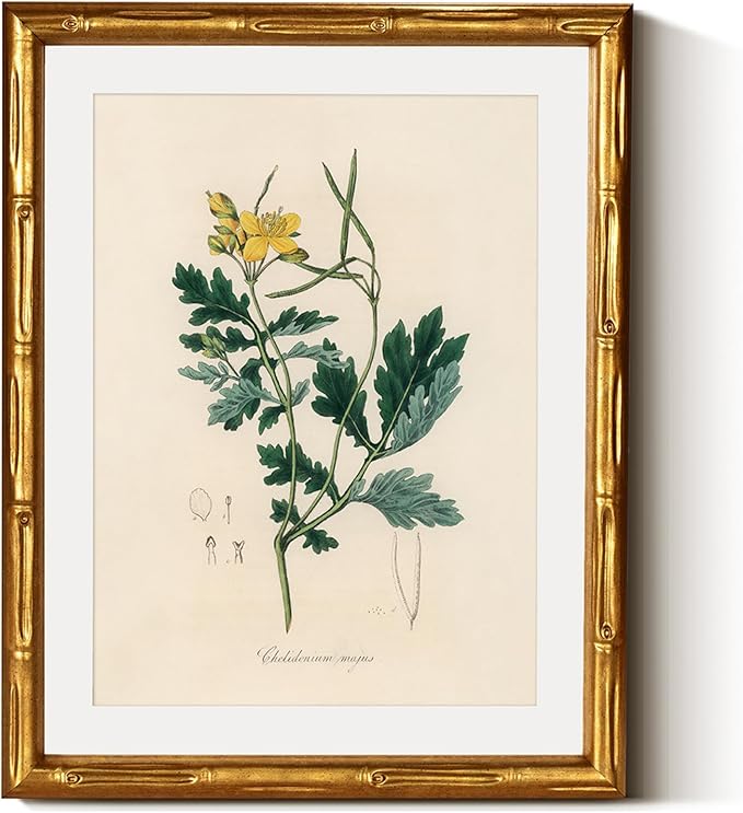 InSimSea Gold Bamboo Framed Canvas Wall Art, Kitchen Herbs Botanical Paintings by InSimSeaArt