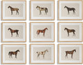 LOARTVE 9Pcs Vintage Horse Canvas Wall Art Posters, Farmhouse Horse Art Prints by LOARTVEART