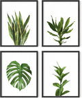 HAUS AND HUES Plant Photo Set of 4-8x10 by HausandHuesArtPrints