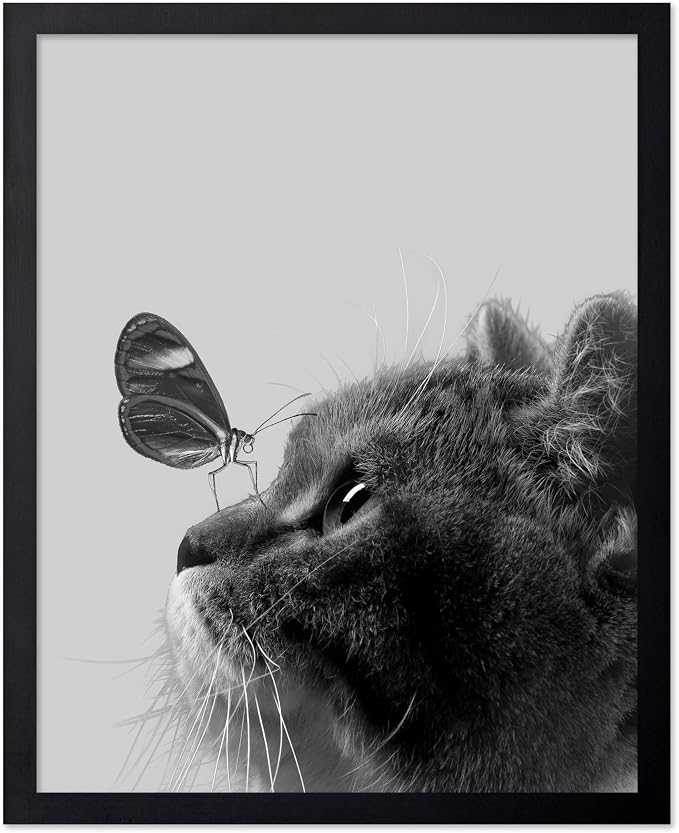 Poster Master Butterfly on Cat Print by PosterMaster