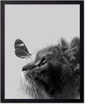 Poster Master Butterfly on Cat Print by PosterMaster