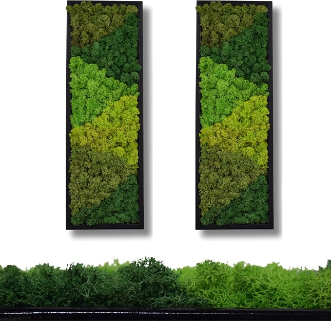 yersiz Large Moss Pattern Wall Art, Real Moss Wall Art - Image 3