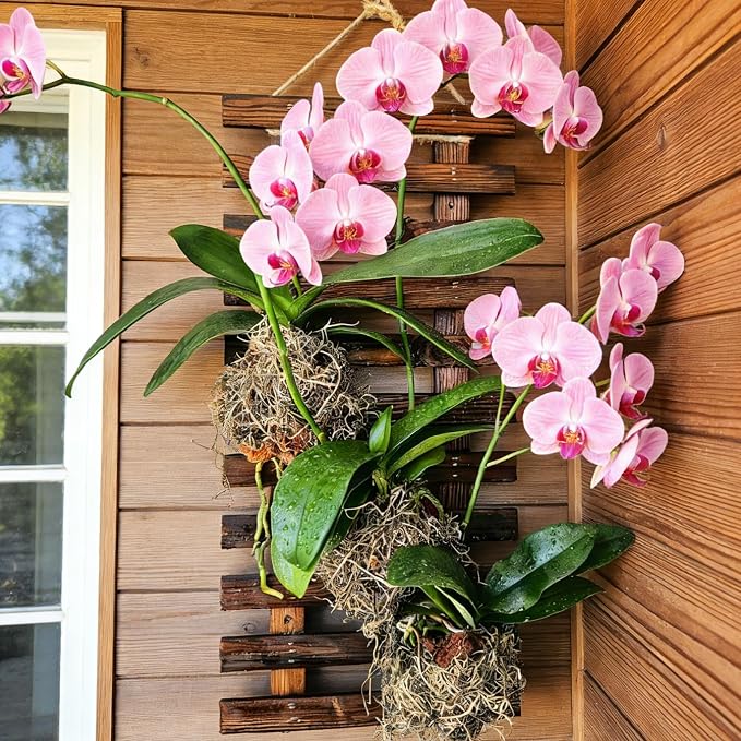 Mulctun 2 Pcs Wall Planters - Image 3