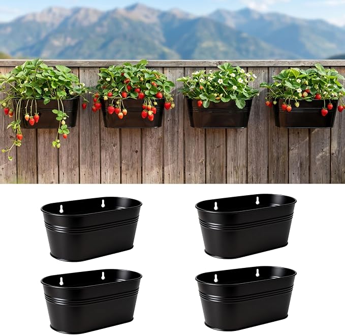 LaLaGreen Wall Planter Black Oval Metal Wall Hanging Decor Flower Plant Holder by L%C3%A1L%C3%A1Green
