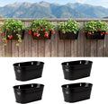 LaLaGreen Wall Planter Black Oval Metal Wall Hanging Decor Flower Plant Holder by L%C3%A1L%C3%A1Green