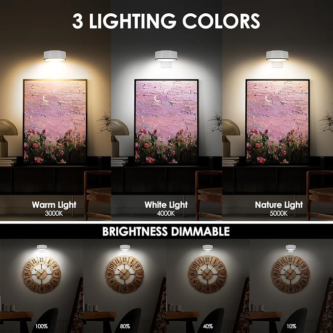 Arixinks 3Pcs Battery Picture Lights, Remote Painting Light - Image 3