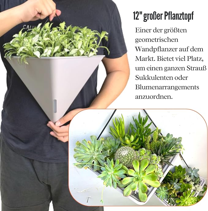 LaLaGreen Wall Planters for Indoor Plants - Image 7