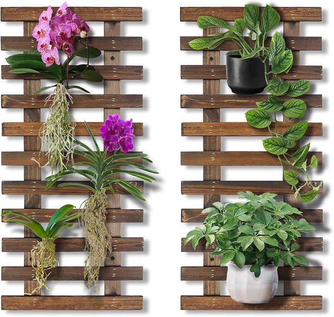 Mulctun 2 Pcs Wall Planters by Unknown