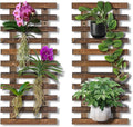 Mulctun 2 Pcs Wall Planters by Unknown