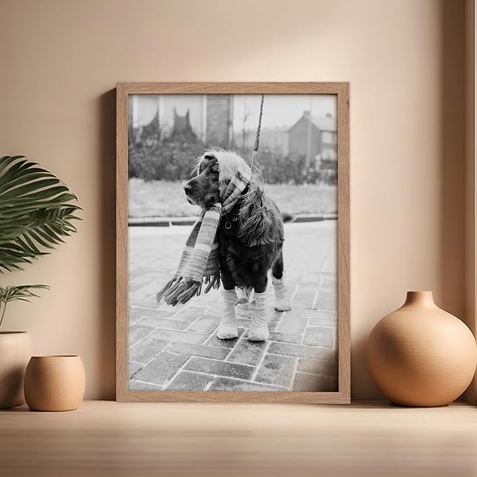 Poster Master Vintage Dog Dressed - Image 5
