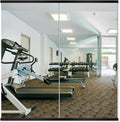 Delma Home Gym Mirror by Delma